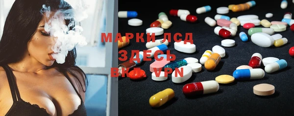 ПСИЛОЦИБИНОВЫЕ ГРИБЫ Алексин