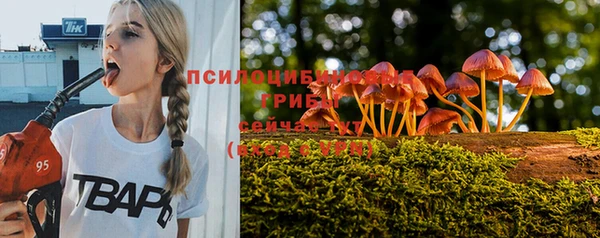 СК Армянск