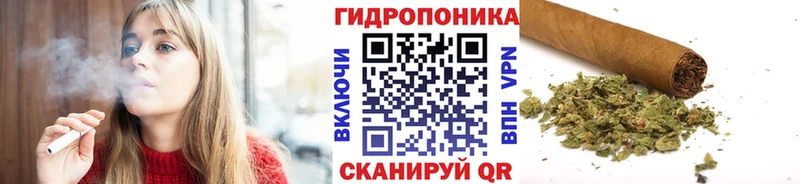 Каннабис индика  мега как зайти  Алатырь 